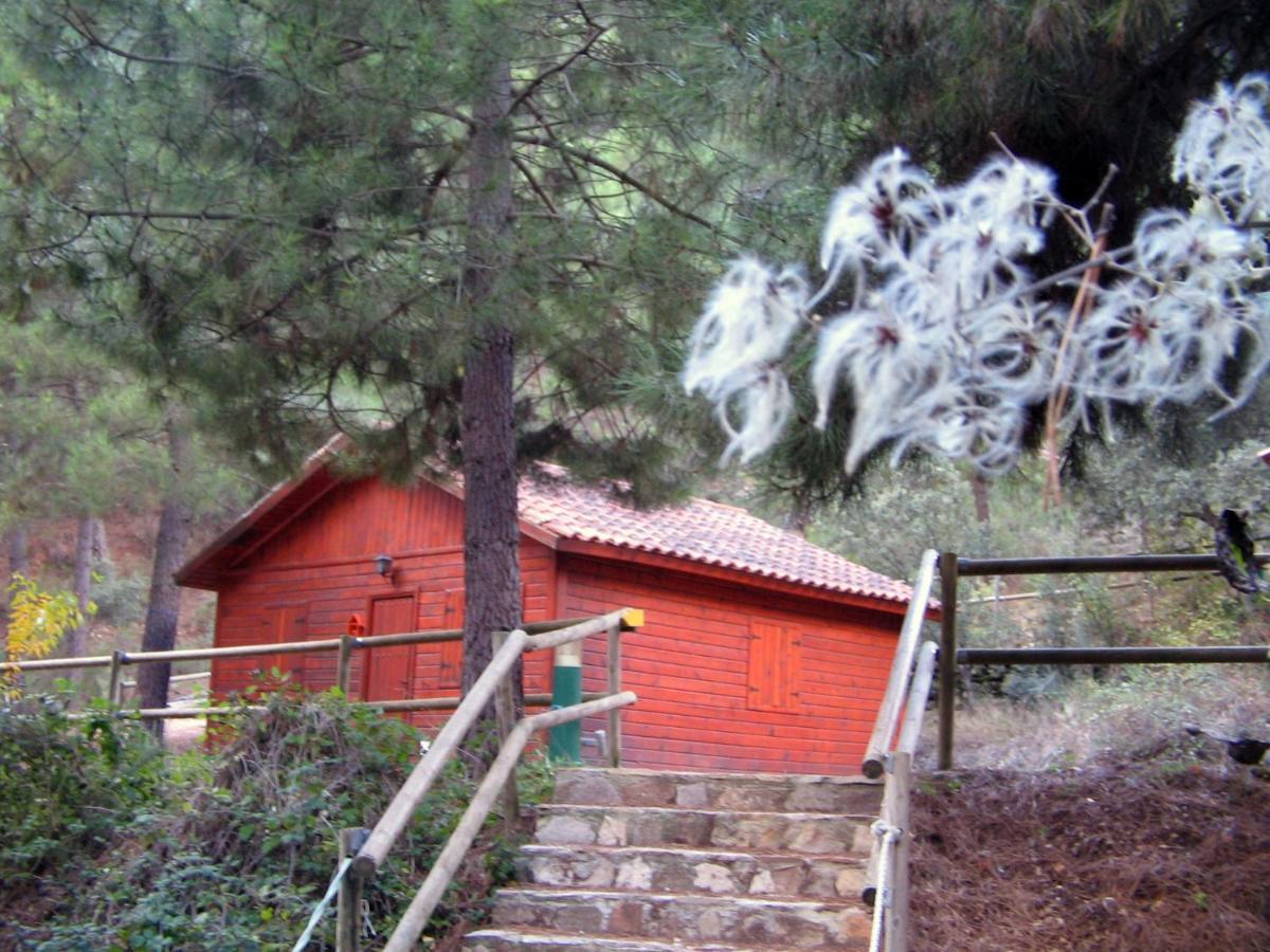 Cabanas La Toma Del Agua Riópar Esterno foto